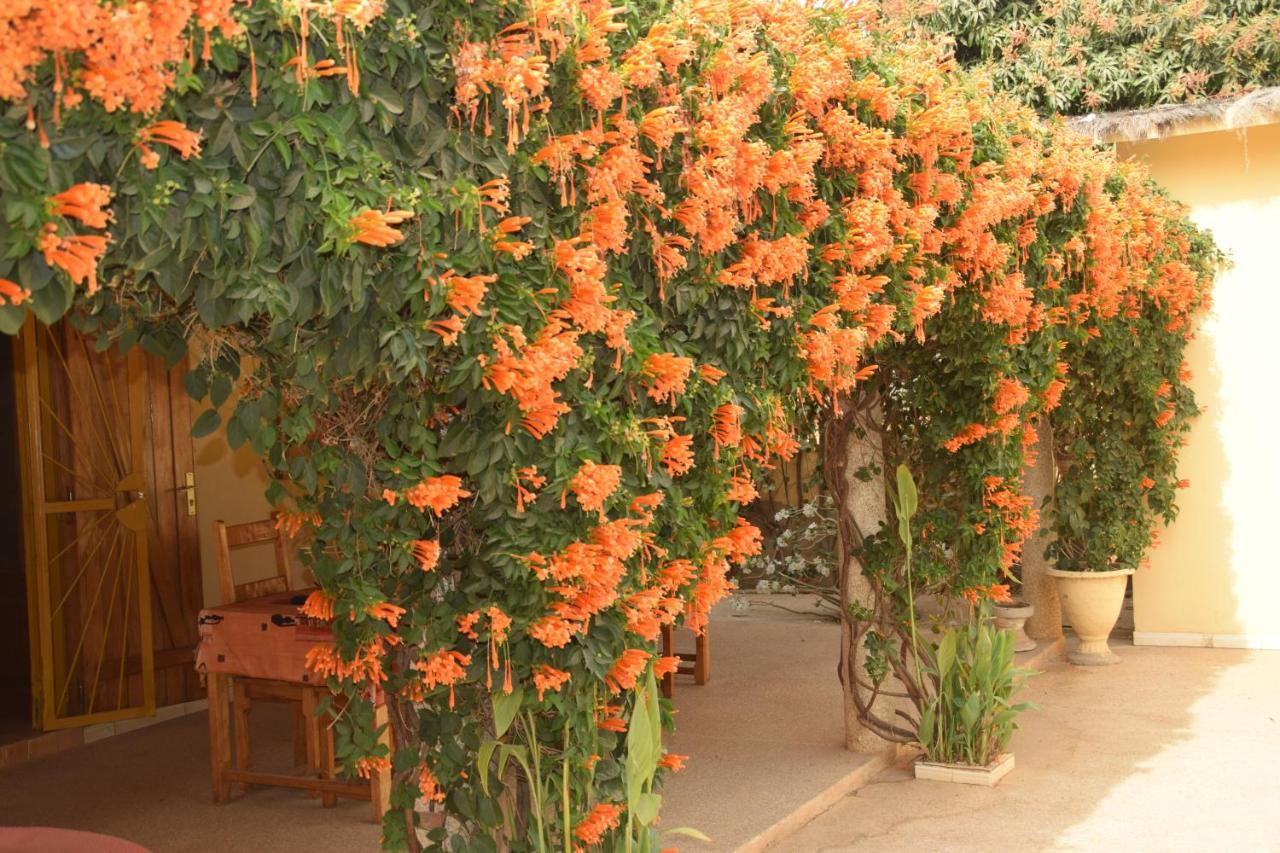 Villa Au Soleil Saly Portudal Zewnętrze zdjęcie